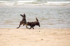 Thierry ANDRÉ - VO PHOTOS