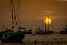 JOSÉ MANUEL PACHECO - JOSE MANUEL PACHECO