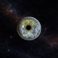 JOSÉ MANUEL PACHECO - JOSE MANUEL PACHECO